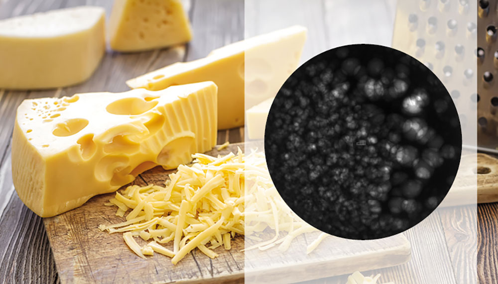 rilevamento del coefficiente di maturazione nel formaggio